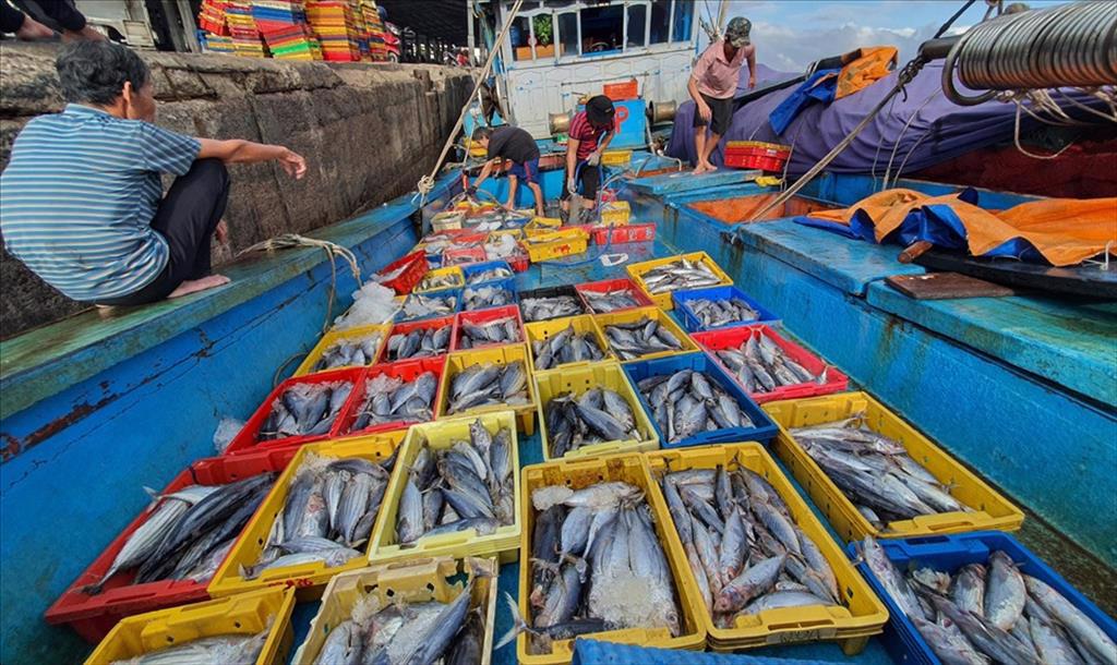 Decision No. 214QD-BNN-TCTS announcing  the list of designated fishing ports with sufficient system to verify origins of caught fisheries products